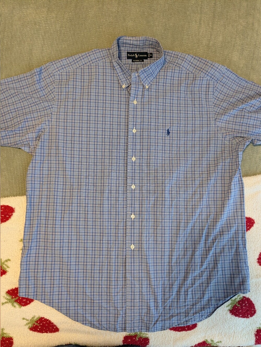 Polo by Ralph Lauren Blue Plaid Short-Sleeve Button-Down Shirt